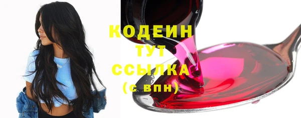 СК Вязьма