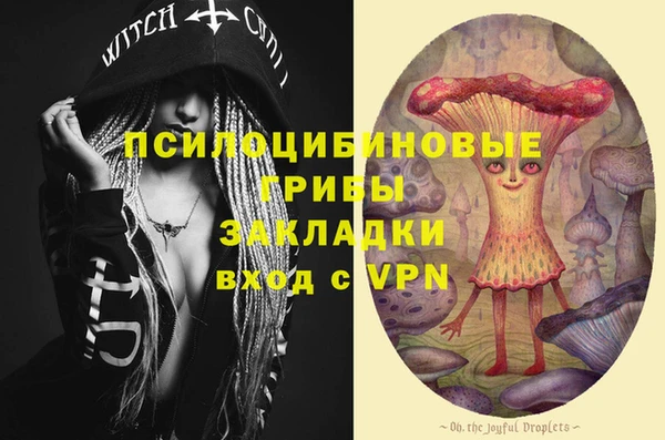 индика Семикаракорск