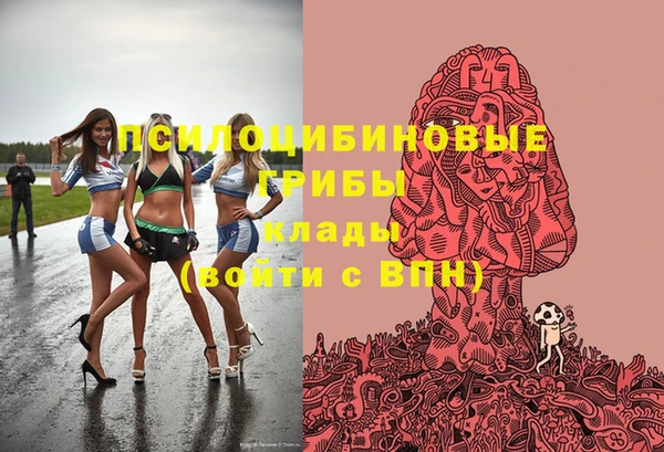 спиды Семилуки
