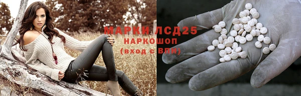 СК Вязьма