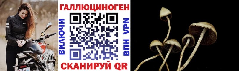Галлюциногенные грибы мицелий  Купить  Светлоград 